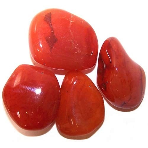 Four polished carnelian stones cluster on a white surface. Their shapes vary from round to teardrop, showcasing mottled shades of reddish-orange.