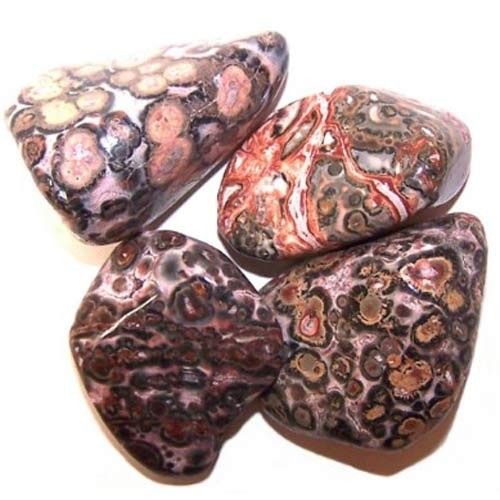 Polished stones with mixed patterns and earth tones are grouped on a white surface.