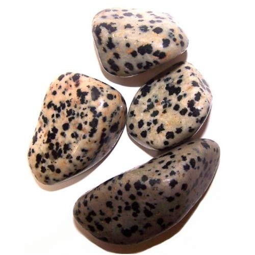Four polished dalmatian jasper stones rest on a white surface. The stones have a light beige background covered in black spots.