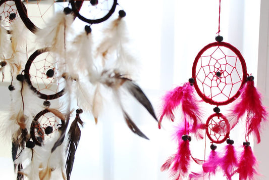 Two dreamcatchers hang in a window. One features brown rings and white feathers; the other, red rings and fuchsia feathers.