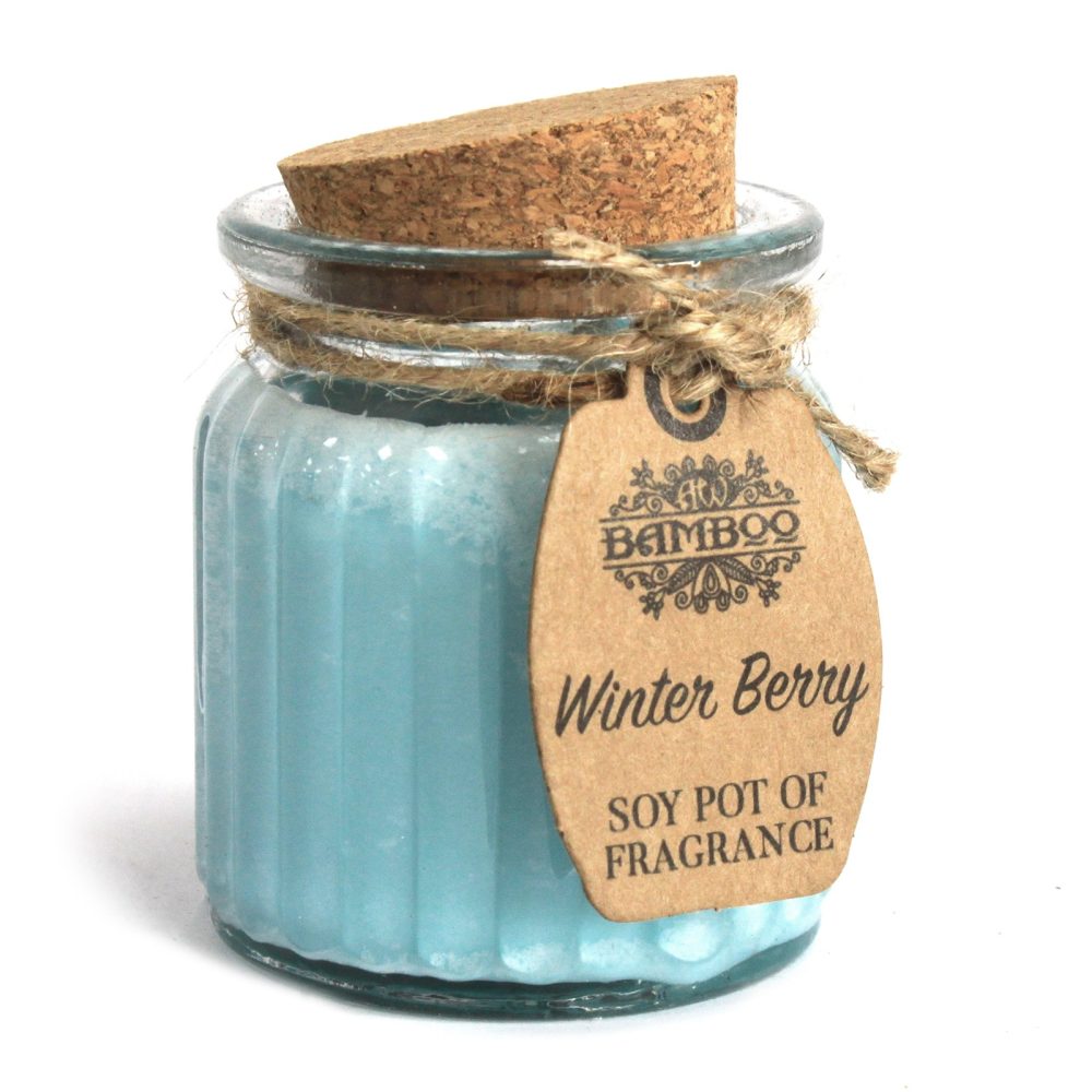 A blue candle sits in a clear jar sealed with a cork. A brown tag reads "BAMBOO Winter Berry SOY POT OF FRAGRANCE" and is attached with twine on a white surface.