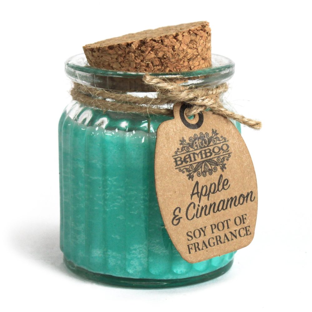 Apple and Cinnamon Soy Pot of Fragrance Candles