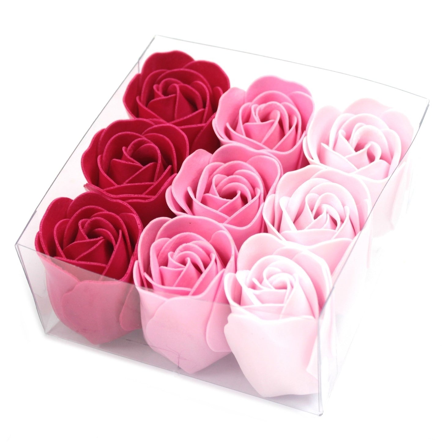 Nine roses are contained in a clear plastic box on a white background. The roses range in color from dark red to light pink.