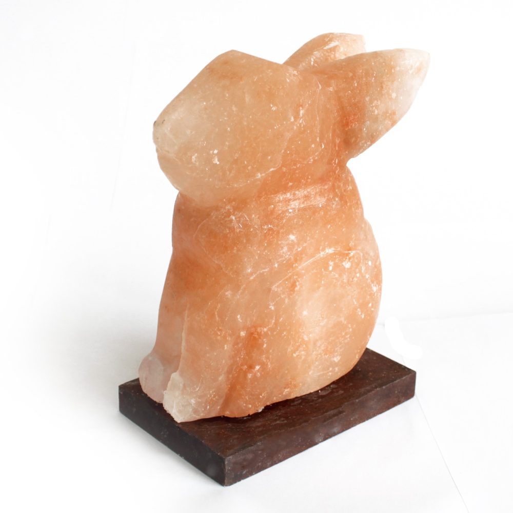 A pinkish-orange salt sculpture of a rabbit sits motionless on a dark rectangular base against a white background.