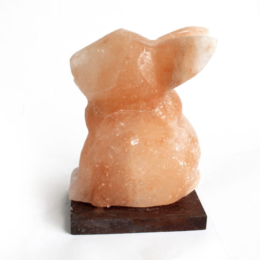 A salt lamp shaped like a rabbit sits on a dark wooden base, displayed against a plain white background. Its orange-pink hue reveals natural crystal textures.