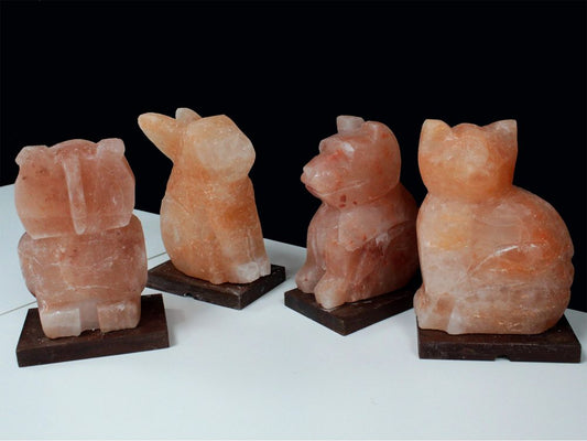 Four animal-shaped Himalayan salt lamps sit on dark wooden bases. The lamps are carved into simple stylized animal figures, placed against a dark background on a light surface.