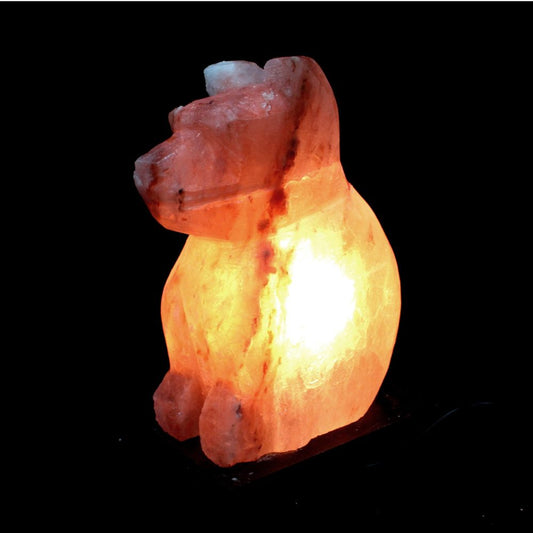 A bear-shaped salt lamp glows warmly from within, illuminating a dark background.