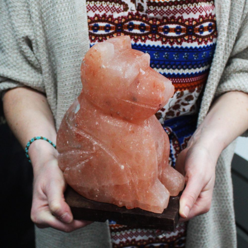 Animal salt lamp - Dog