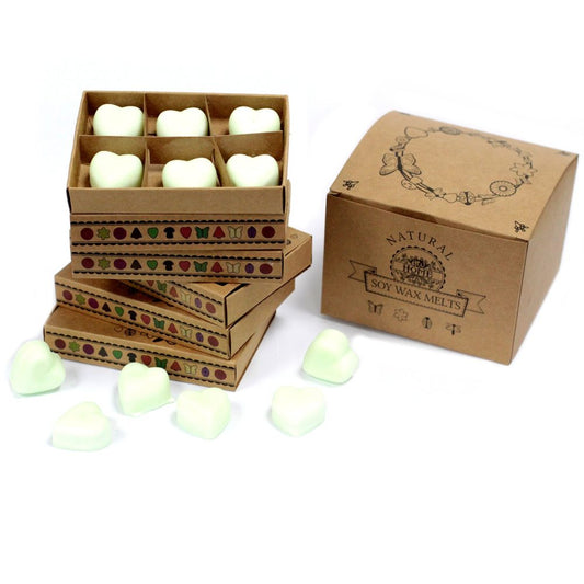 Heart-shaped soy wax melts are stacked in decorated boxes.  A larger box is nearby.  The larger box is labeled "NATURAL GO HOME SOY WAX MELTS".
