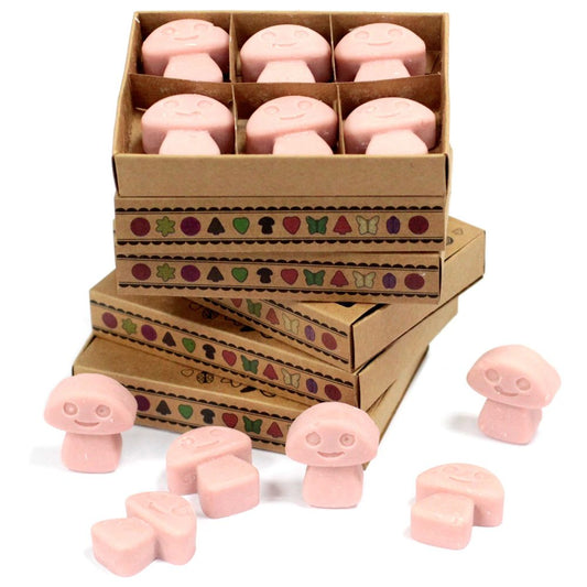 Pink mushroom-shaped wax melts are arranged in a box and scattered nearby. The boxes are stacked and decorated with a repeating pattern of nature-themed symbols.