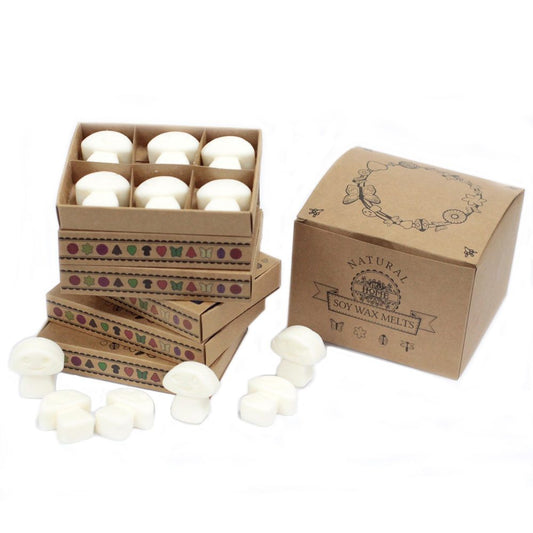 Mushroom-shaped soy wax melts are packaged in stacked boxes decorated with nature-themed patterns.  A larger box displays "NATURAL SOY WAX MELTS".