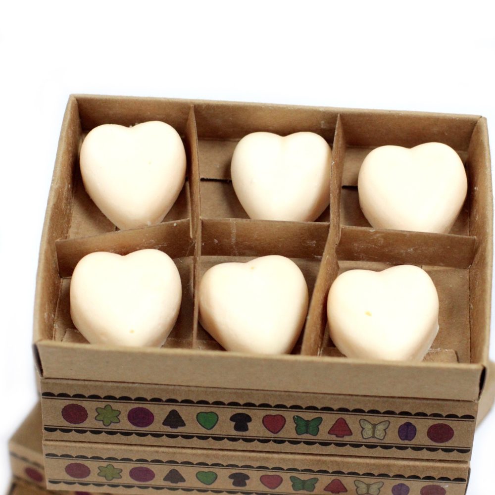 Box of 6 Wax Melts - Cinnamon and Orange