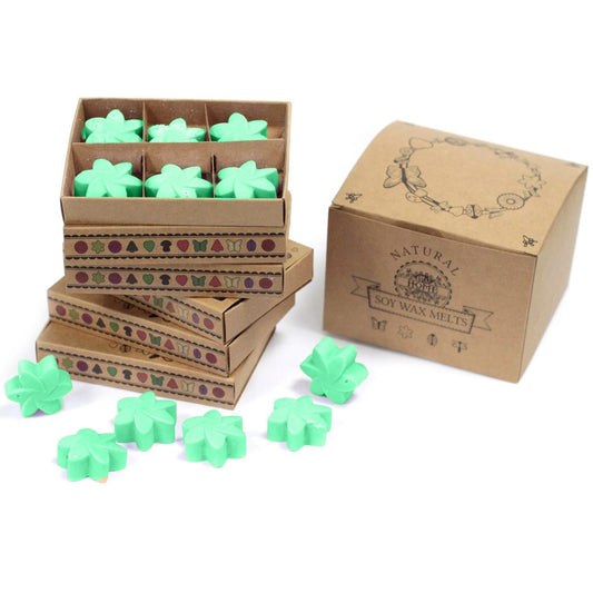 Mint-green, leaf-shaped soy wax melts are arranged in a stack of boxes.  The boxes are decorated with nature-themed designs.  "NATURAL SOY WAX MELTS" is printed on one box.
