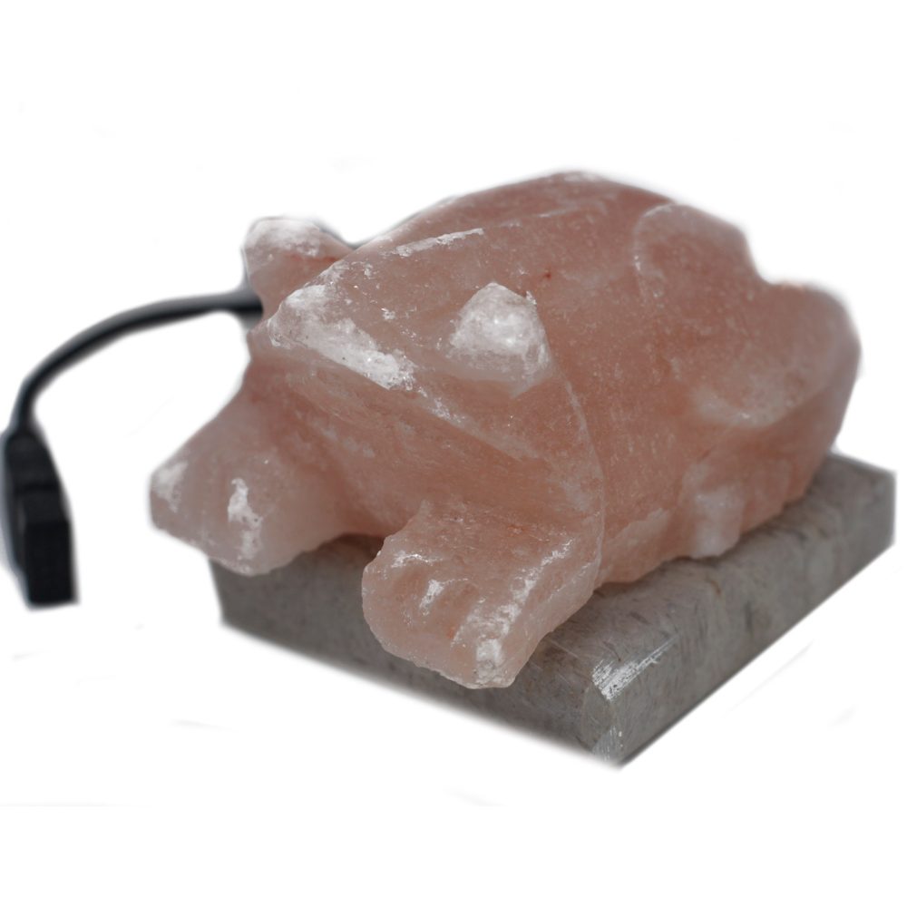 A pink salt rock shaped like a frog rests on a gray rectangular base, with a black cord extending from it in a plain white background.