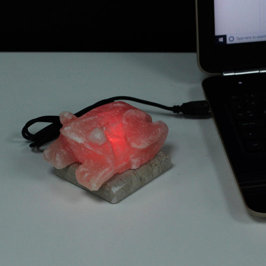 A red, glowing frog-shaped lamp made of salt sits on a small stone slab, connected by a USB cord to a laptop on a white surface.
