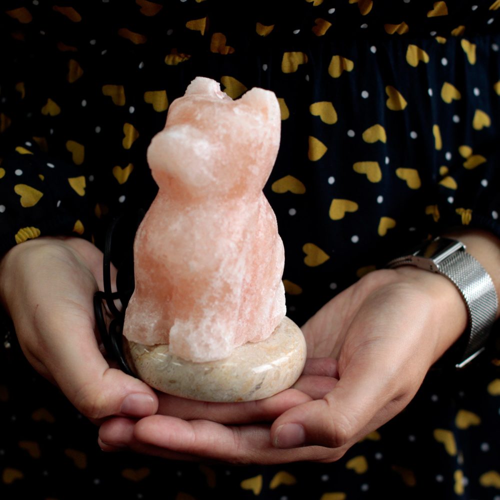 A pink crystal cat sculpture rests on a stone base, held gently in hands. The person wears a dark shirt with yellow heart patterns, creating a cozy atmosphere.
