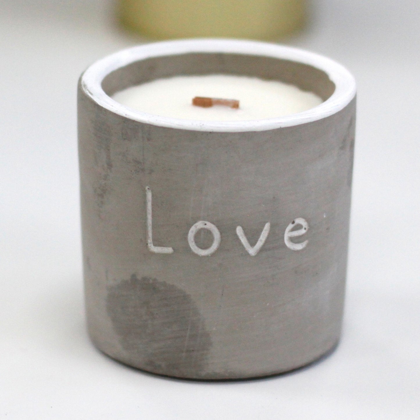 Med Pot - Love - Purple Fig and Casis Concrete Candle