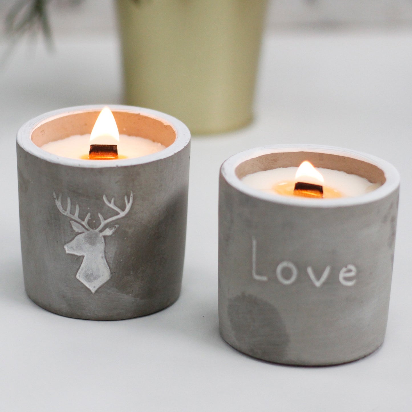 Med Pot - Stag Head - Whiskey and Woodsmoke Concrete Candle