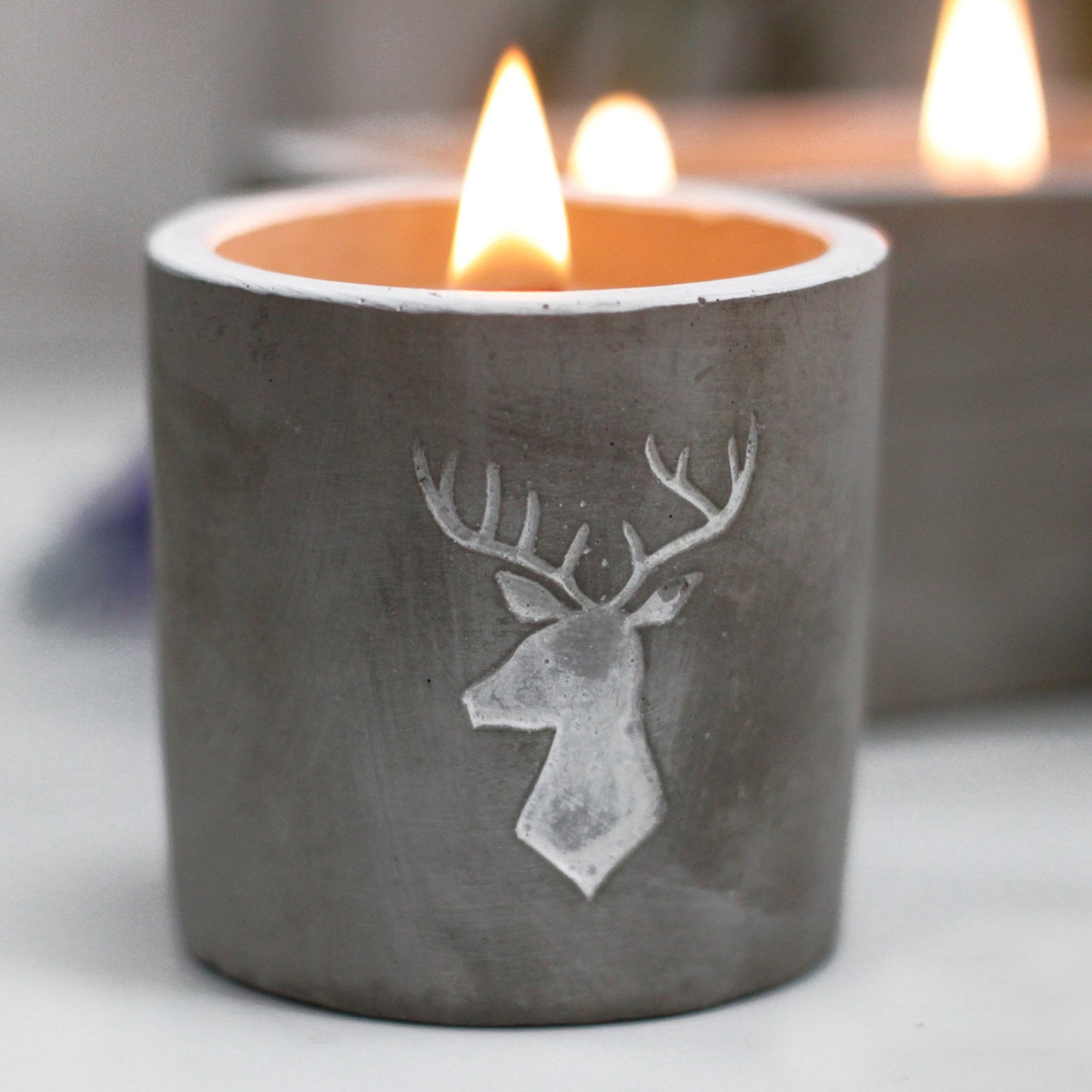 Med Pot - Stag Head - Whiskey and Woodsmoke Concrete Candle
