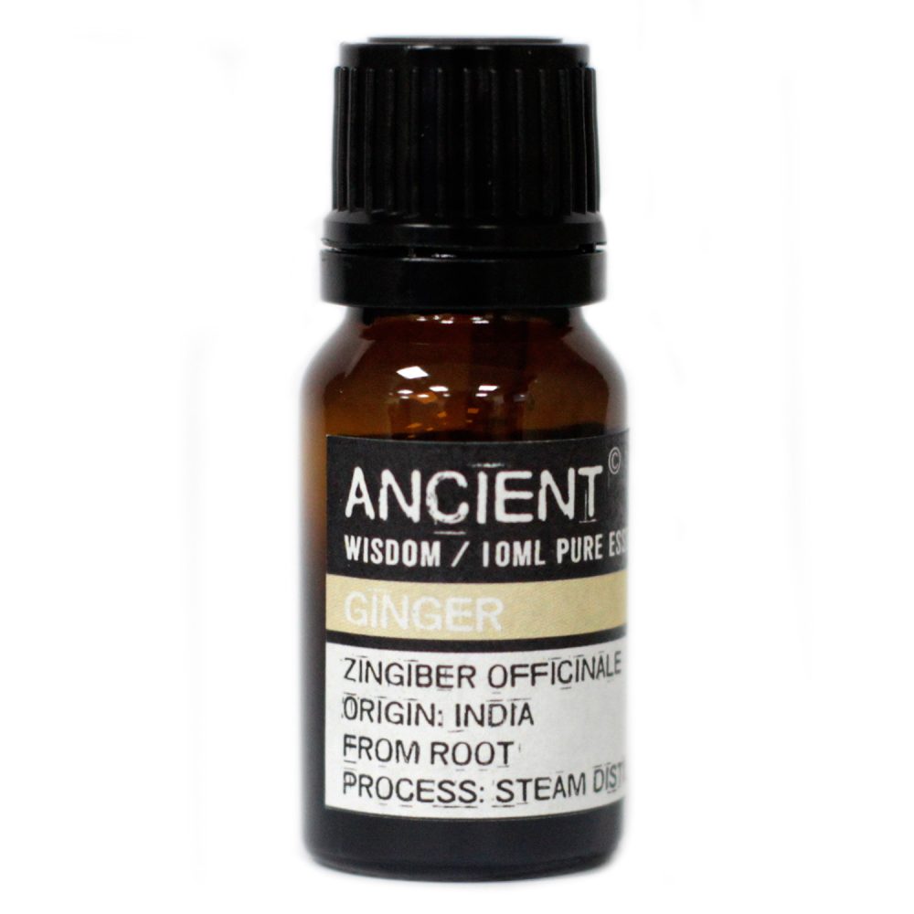 A small amber glass bottle presents “ANCIENT” brand ginger essential oil. The label text continues with "WISDOM / 10ML PURE ES", "GINGER", "ZINGIBER OFFICINALE", "ORIGIN: INDIA", "FROM ROOT", and "PROCESS: STEAM DIST."