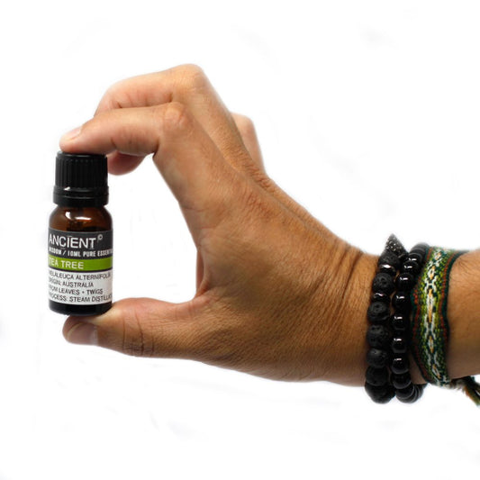 A hand holds a small bottle labeled "ANCIENT" "WISDOM / 10ML PURE ESSENTIAL" "TEA TREE" "MELALEUCA ALTERNIFOLIA" "ORIGIN: AUSTRALIA" "FROM LEAVES + TWIGS" "PROCESS: STEAM DISTILLAT" against a white background, showcasing bracelets worn on the wrist.