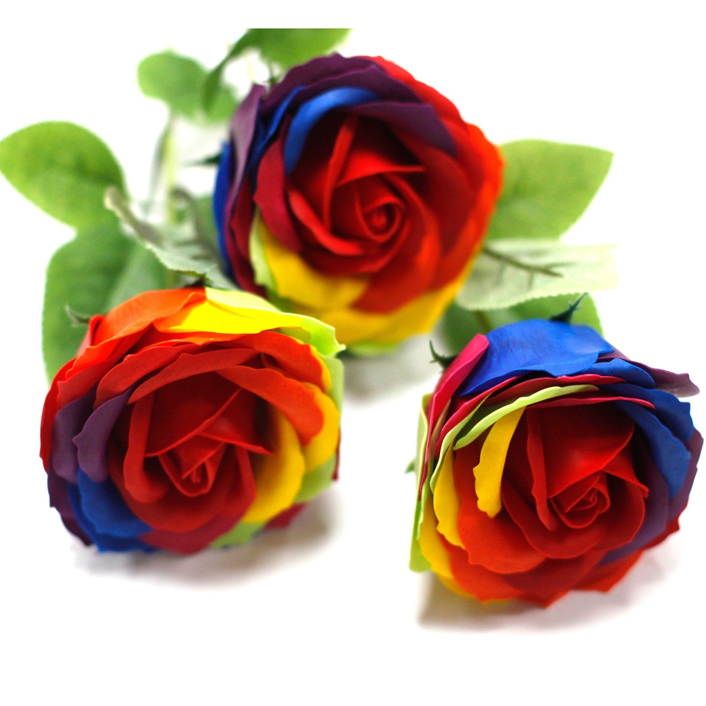 Three rainbow roses are laying down, facing different directions against a white backdrop. The top rose has a stem with green leaves.