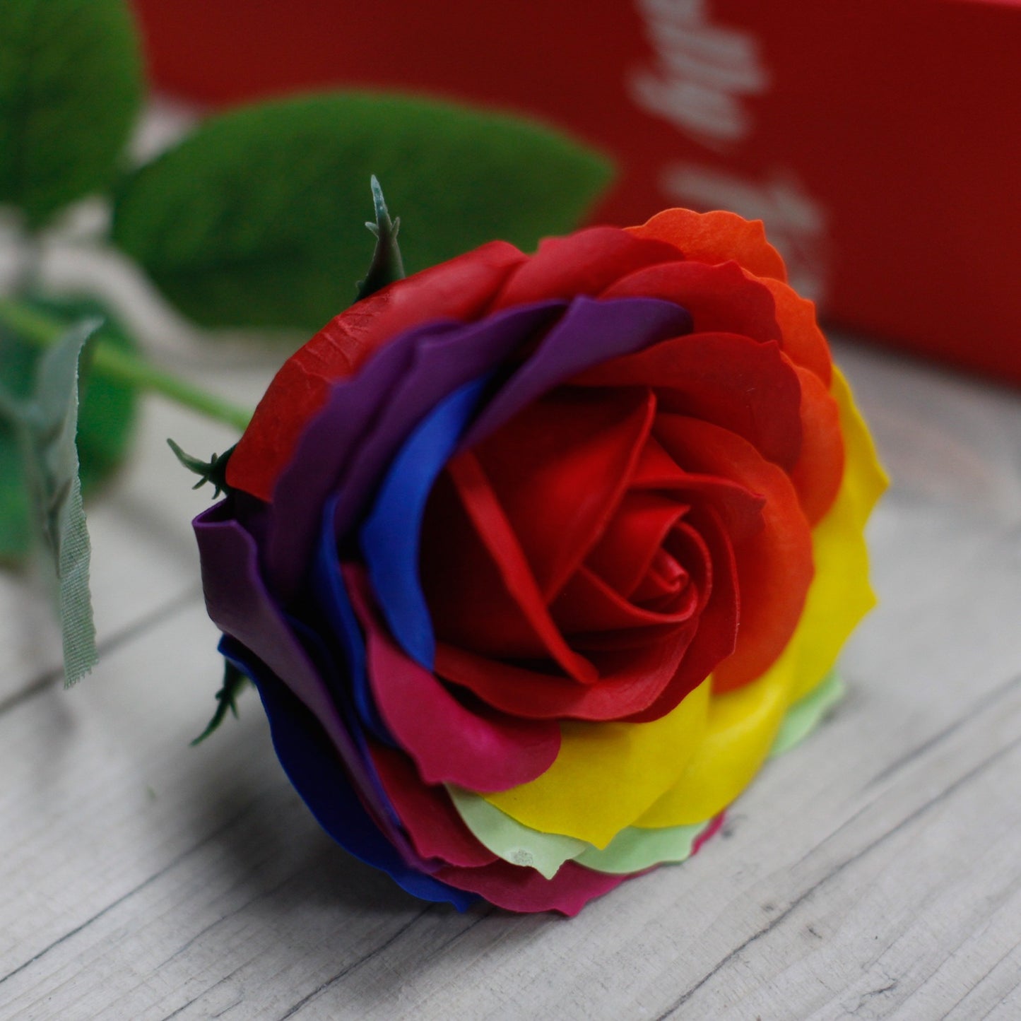 A rainbow rose lies horizontally on a white-washed wooden surface. The rose’s petals display red, orange, yellow, green, blue, and purple colors. A red box is partially visible in the background.