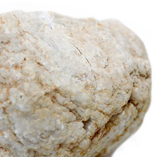 A rough, light gray rock sits against a plain white background. It has brown markings and a few small cracks along its surface.