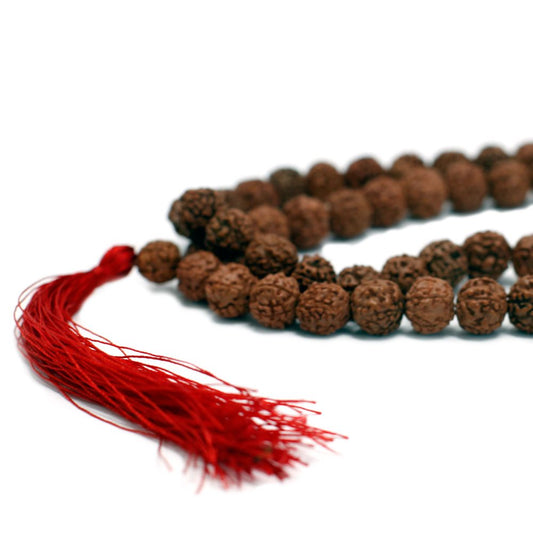 A string of rudraksha beads with a red tassel lies diagonally across a plain white background. The beads are brown and textured.