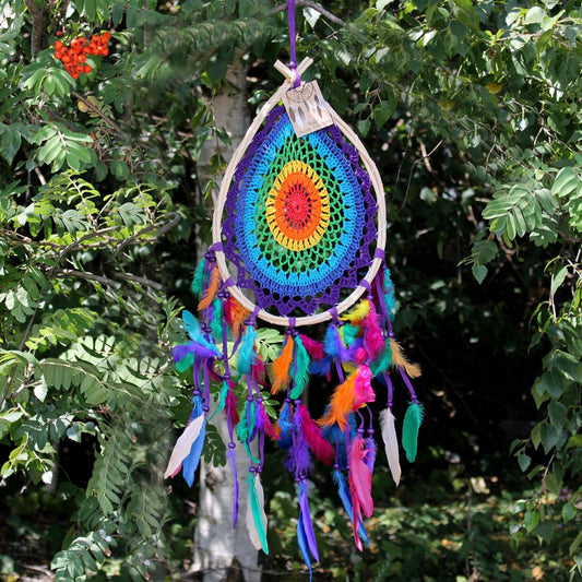 A crocheted rainbow dreamcatcher hangs from a tree branch. The dreamcatcher features multicolored feathers. A small tag is attached.