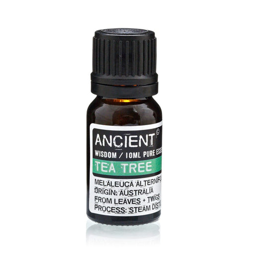 A brown glass bottle of "ANCIENT" Tea Tree essential oil sits on a white surface, reflecting light. Label reads "WISDOM / 10ML PURE ESS," "MELALEUCA ALTERNIFO," "ORIGIN: AUSTRALIA," "FROM LEAVES + TWIGS," and "PROCESS: STEAM DIST."