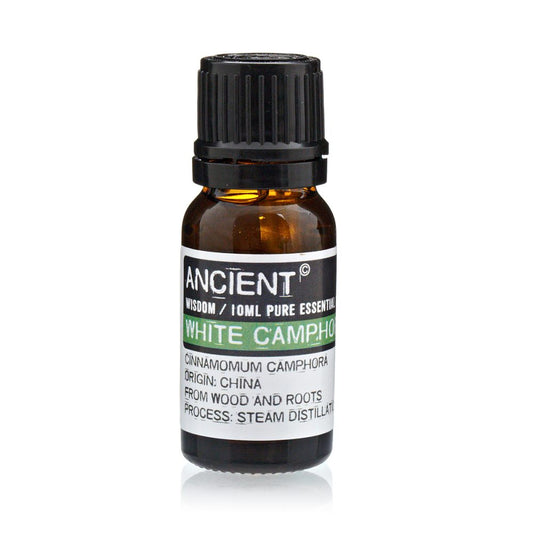A small amber bottle labeled "ANCIENT WISDOM / 10ML PURE ESSENTIAL WHITE CAMPHO CINNAMOMUM CAMPHORA ORIGIN: CHINA FROM WOOD AND ROOTS PROCESS: STEAM DISTILLAT" sits against a bright background.