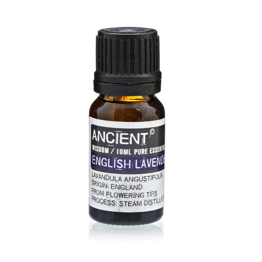 A small bottle of "ANCIENT ENGLISH LAVENDER" essential oil sits upright. The label reads: "ANCIENT, WISDOM/10ML PURE ESSENTIAL, ENGLISH LAVENDER, LAVANDULA ANGUSTIFOLIA, ORIGIN: ENGLAND, FROM FLOWERING TIPS, PROCESS: STEAM DISTILLAT." The bottle is on a white surface.