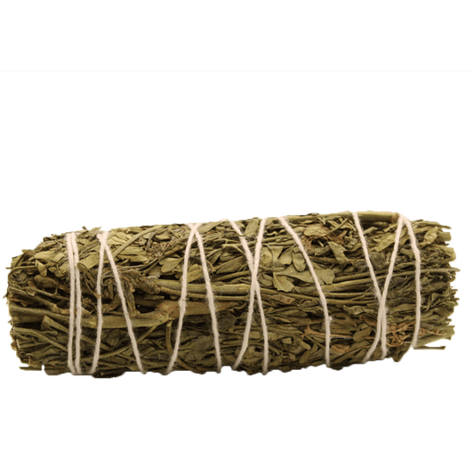 A bundle of dried sage is wrapped with white twine, placed horizontally against a solid green background.