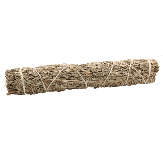 A sage bundle sits, bound by white string, on a solid green background.
