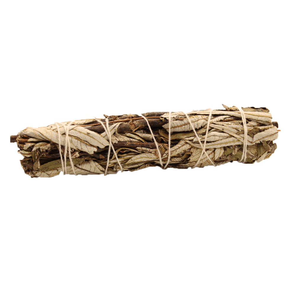 A bundle of dried leaves and twigs is bound together with twine. The bundle lies horizontally against a white backdrop.