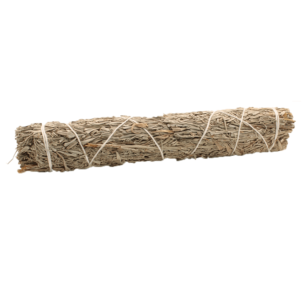 A bundle of dried, silvery-green sage is held together by white twine, horizontally centered against a stark white background.