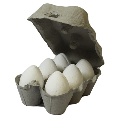 A half-dozen of white toilet paper rolls resemble eggs, placed in an open grey egg carton, isolated on a white background.