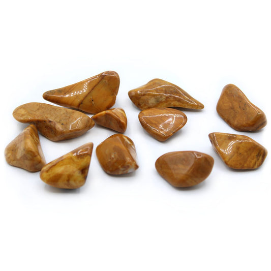 Several polished, tan jasper stones are scattered, casting subtle reflections on a bright white surface.