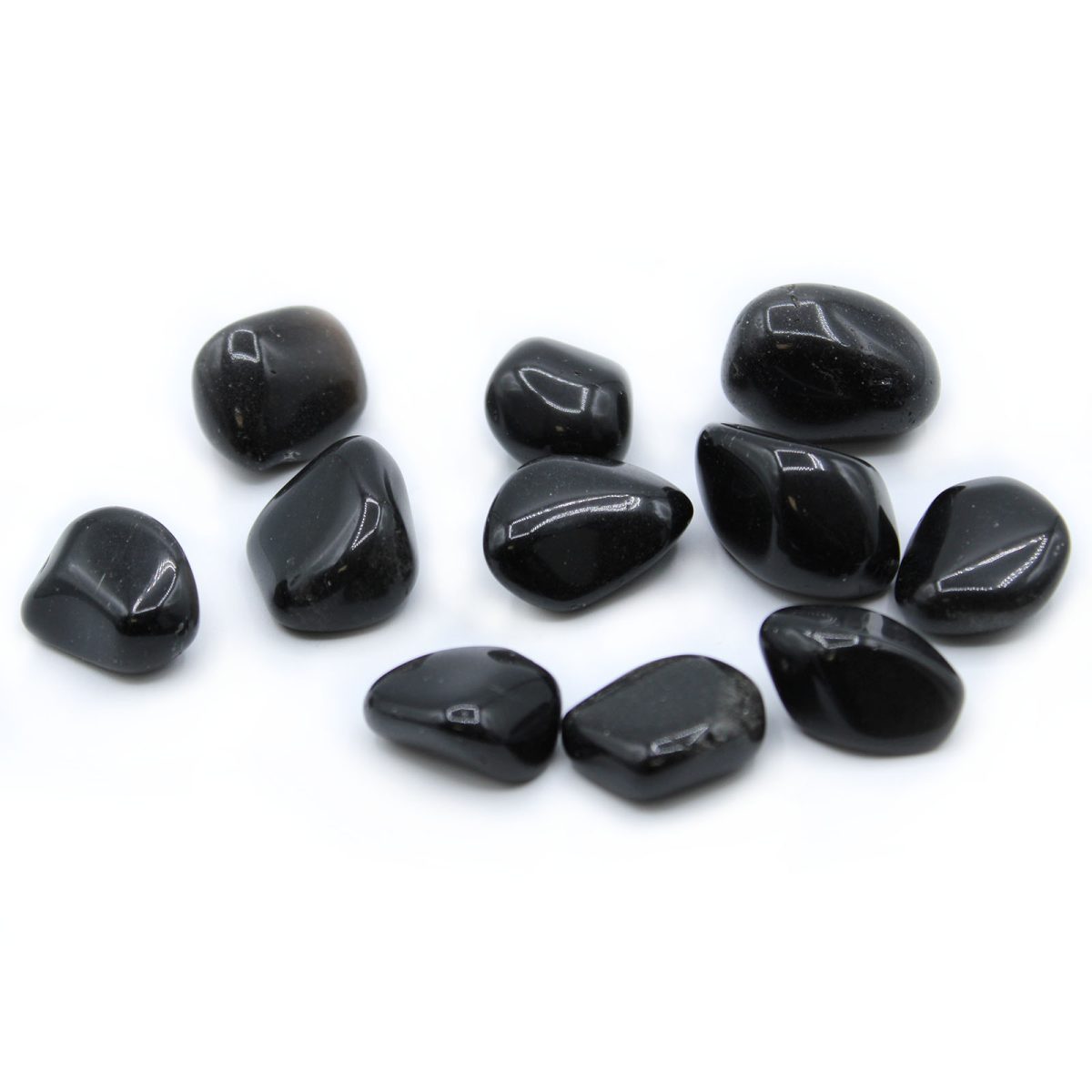 Obsidian Black Large 24 Pack