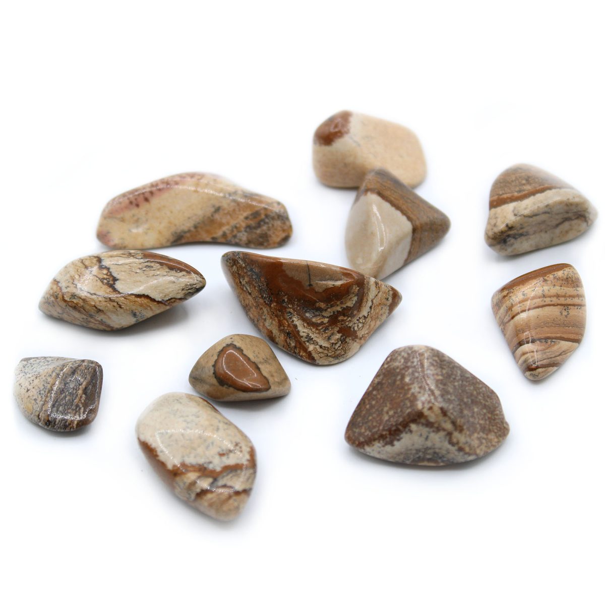 Kalahari Desert Stone Large 24 Pack