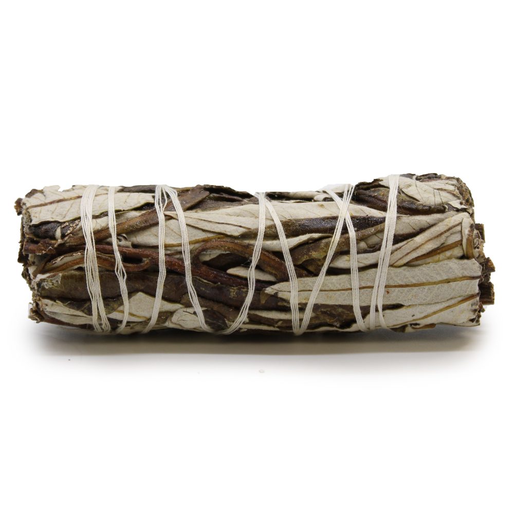 A sage bundle is wrapped with white twine on a white background.