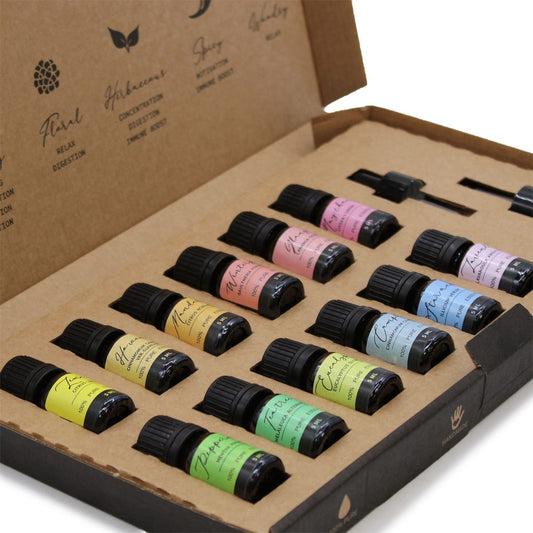 Essential oil vials sit in a cardboard box labeled with the words: Floral, Herbaceous, Spicy, Whimsy. The vials display names like "Lavender", "Tea Tree", and "Winter".