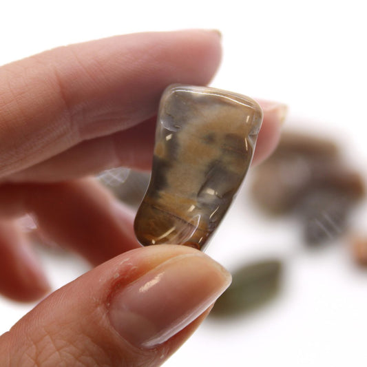 A polished, tan-and-brown stone is held by a hand with polished nails, with more stones scattered in the blurred background.