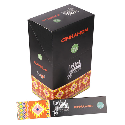 Box labeled "Tribal Soul Incense Smudge Sticks" and "Cinnamon" rests against a smaller box with colorful tribal patterns. Text: "CANELA" and "by HJDs." Symbols include green icons.