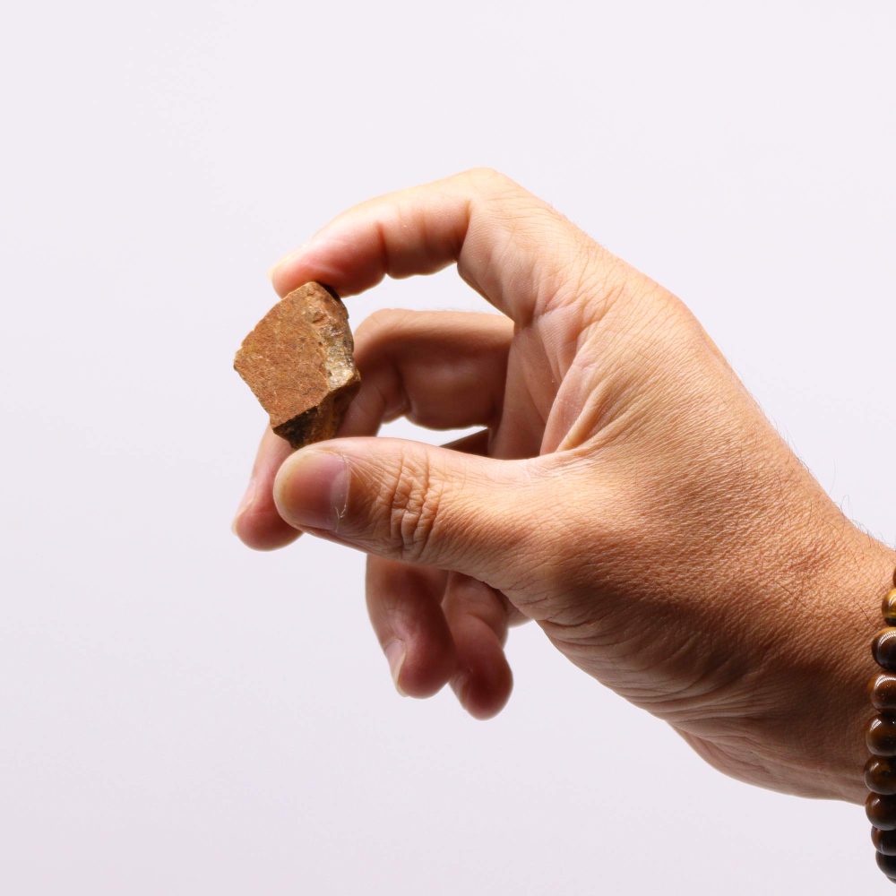 A hand holds a small, reddish-brown rock fragment against a white background.
