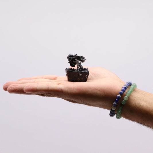 A tiny, dark bonsai tree in a square pot rests in the palm of a hand, two beaded bracelets adorn the wrist, all against a plain white background.