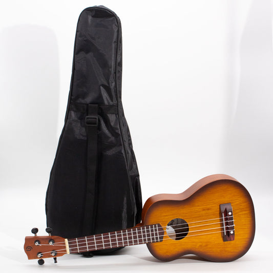 A ukulele rests beside a black carrying case on a plain white background. The ukulele features a brown body with dark edges, four strings, and tuning pegs on the headstock.