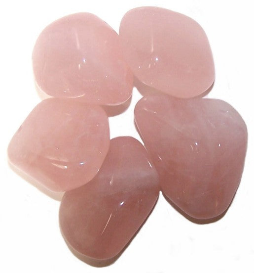Rose Quartz Large 24 Pack