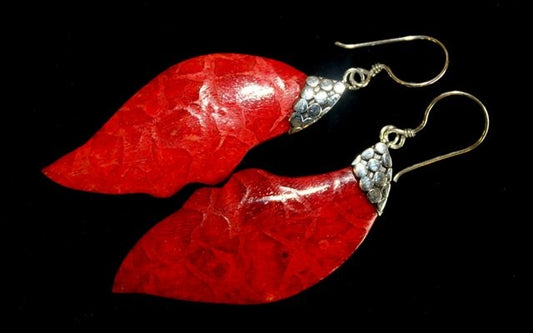 Two red coral earrings dangle against a black background. The coral is capped with silver and suspended from a silver hook.